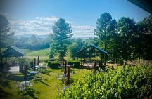 Three Vineyards Half Day Private Wine Tour From Asheville
