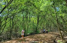 From Ho Chi Minh: Can Gio Trek – Monkey Island & Crocodile Farm