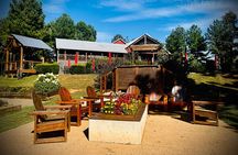 Three Vineyards Half Day Private Wine Tour From Asheville