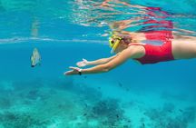 Munduk Waterfall Dolphin and Snorkeling Tour