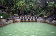 Munduk Waterfall Dolphin and Snorkeling Tour