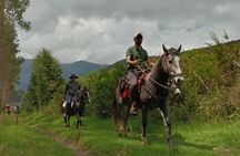 Horseback Riding Private Tour