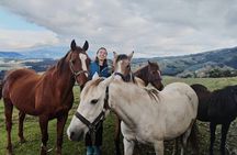 Horseback Riding Private Tour