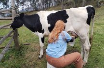Horseback Riding Private Tour