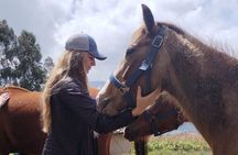 Horseback Riding Private Tour