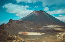 Tongariro Crossing : PRIVATE TRANSFER Leaving AUCKLAND