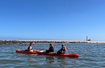 Seal Kayaking at Pelican Point from Walvis Bay 