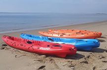 Seal Kayaking at Pelican Point from Walvis Bay 