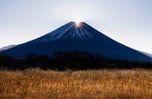 Tokyo To Mount Fuji Private English Guided Day Tour