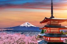 Tokyo To Mount Fuji Private English Guided Day Tour
