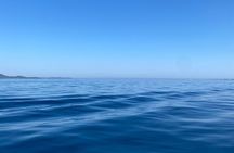 Experience Zadar Archipelago with Antares sailing shared tour