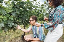 Half Day Private Natural Wine Guided Tour & Tasting 
