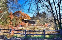 Karuizawa Private Customizable Full Day Tour