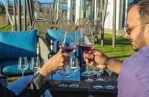 Visit Constantia Wineries + Muzenberg Noordhoek Beaches F/D 