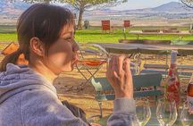 Visit Constantia Wineries + Muzenberg Noordhoek Beaches F/D 