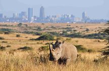 9 Days African Wild Safari and Beach Tour