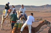 From Marrakech: Agafay desert sunset Full Package & live show