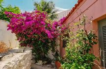 Athens Beauty 4h Private Walking tour
