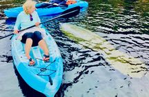 Dolphin, Manatee and Sea Turtle Kayak Adventure 
