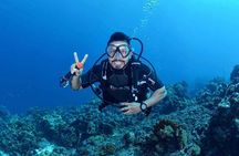 Diving Experience in Cartagena with all Incluided
