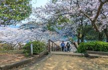 Sasebo Private Customizable Full Day Tour