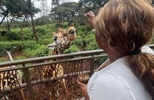 Giraffe Centre and Bomas of Kenya from Nairobi