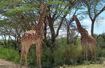 Giraffe Centre and Bomas of Kenya from Nairobi