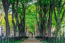 Sendai Private Customizable Full Day Tour