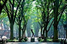 Sendai Private Customizable Full Day Tour