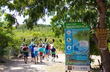 SoCoHo Eco Kayak and Snorkel Tour