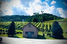 Grandfather Mountain Private Wine & Dine Tour from Asheville