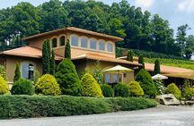 Grandfather Mountain Private Wine & Dine Tour from Asheville