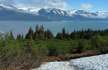 Mount Marathon Bowl Guided Hiking Tour