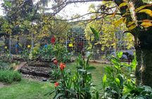 Urban Orchard in Desierto de los Leones in Mexico City
