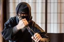 From Nagoya: Myths and Mystery of Ninja and the Tokaido Road