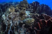 Private Snorkeling trip at Koh Kood