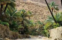 Full-Day Private Tour of Wahiba Sands Desert and Wadi Bani Khalid
