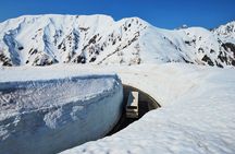 Toyama Private Customizable Full Day Tour