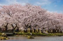 Toyama Private Customizable Full Day Tour