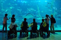 A comfortable wheelchair trip & east of Jeju