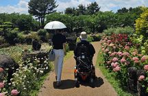 A comfortable wheelchair trip & east of Jeju