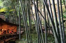 Kamakura Walking Tour with Local Guide Including Hokokuji Temple