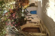 Half Day Trip to Djerba Island