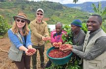 Tea and coffee tours