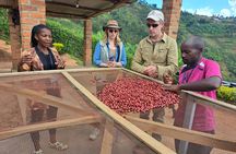 Tea and coffee tours