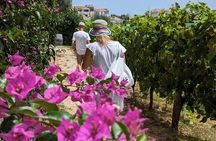 Amalfi Coast Hike and Wine Tour in Vietri