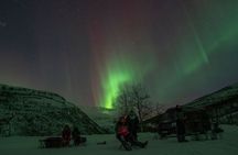 Tromsø: Express Aurora Hunt with Wandering Owl