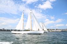 Day Sail around Boston