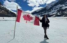 Columbia Icefield Peyto Lake Bow Lake from Calgary Canmore Banff