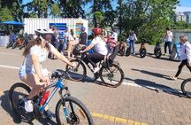 4 Hour Guided E-Bike Tour Stanley Park - Entire 30 Kms Seawall
